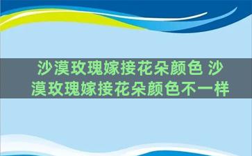 沙漠玫瑰嫁接花朵颜色 沙漠玫瑰嫁接花朵颜色不一样